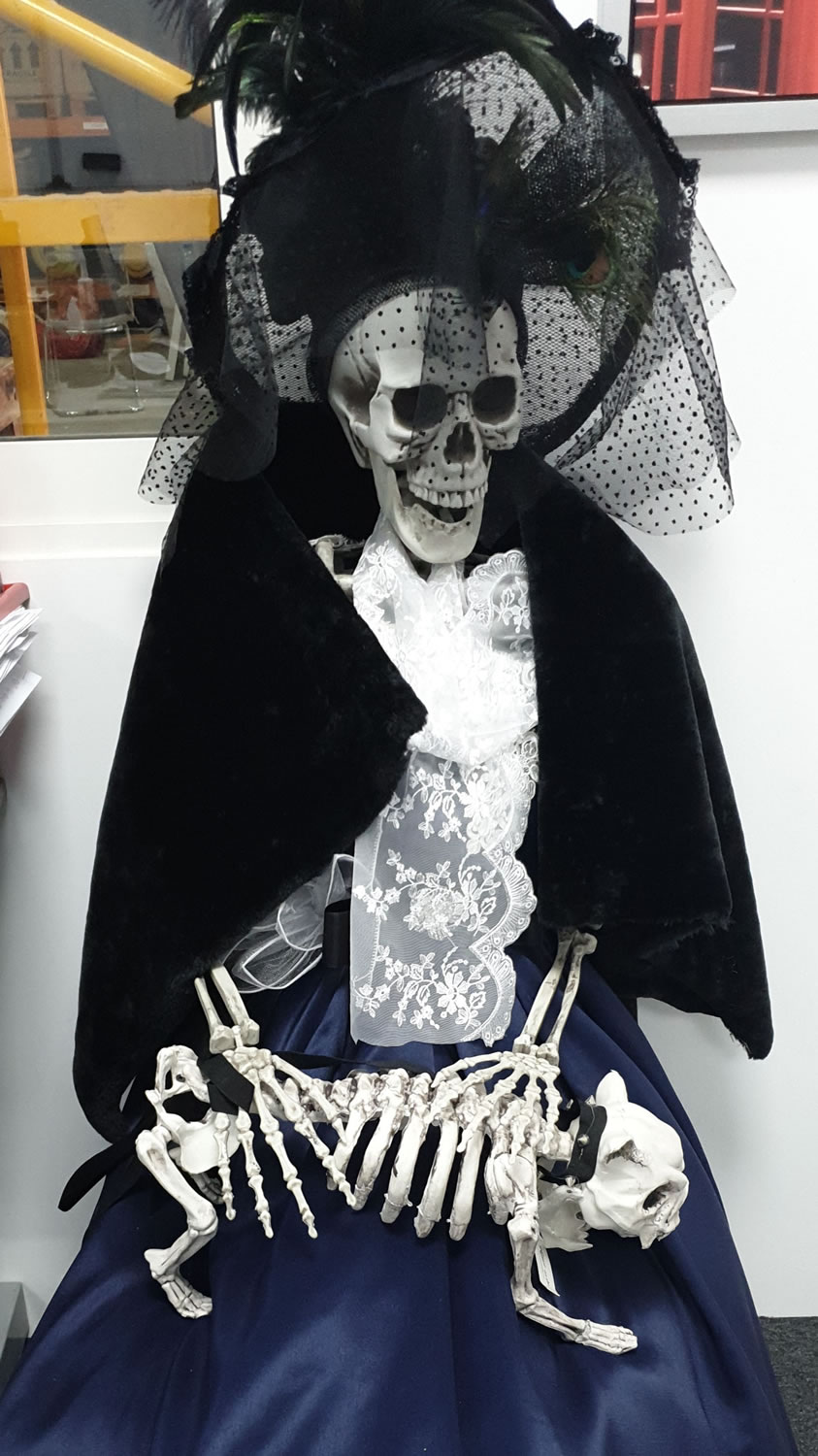 Skeleton dressed up